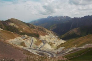 IMG_6563 (Large)