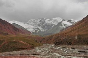 IMG_6548 (Large) 