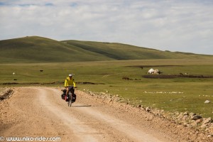 IMG_6785 (Large) 