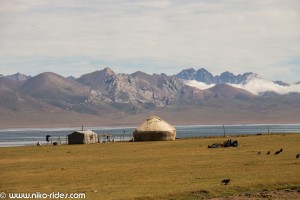 IMG_6789 (Large) 