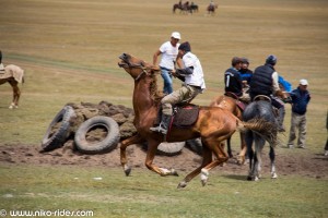 IMG_6838 (Large) 