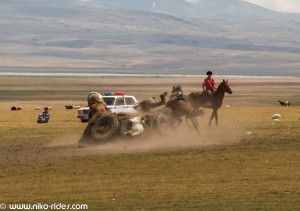 IMG_6842 (Large) 