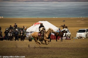 IMG_6871 (Large) 