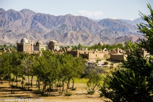 IMG_4197 (Large)
