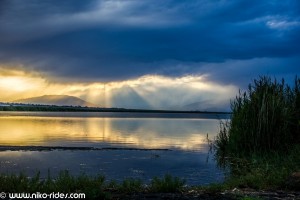 IMG_4243 (Large)