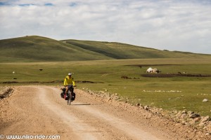 IMG_6785 (Large)
