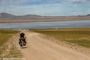 IMG_6791 (Large)