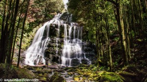 tasmania 